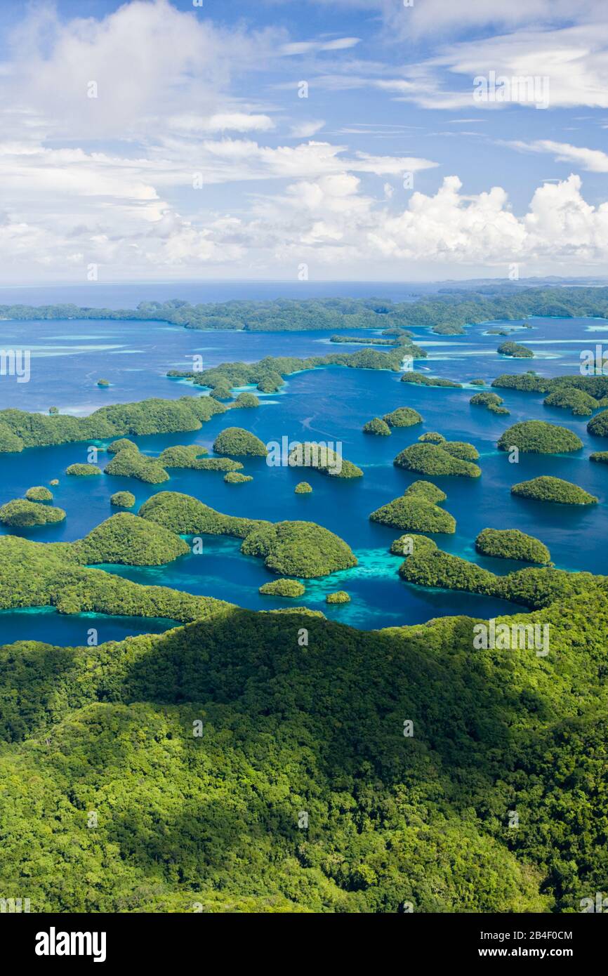 Le isole della roccia di Palau, pacifico, Micronesia, Palau Foto Stock