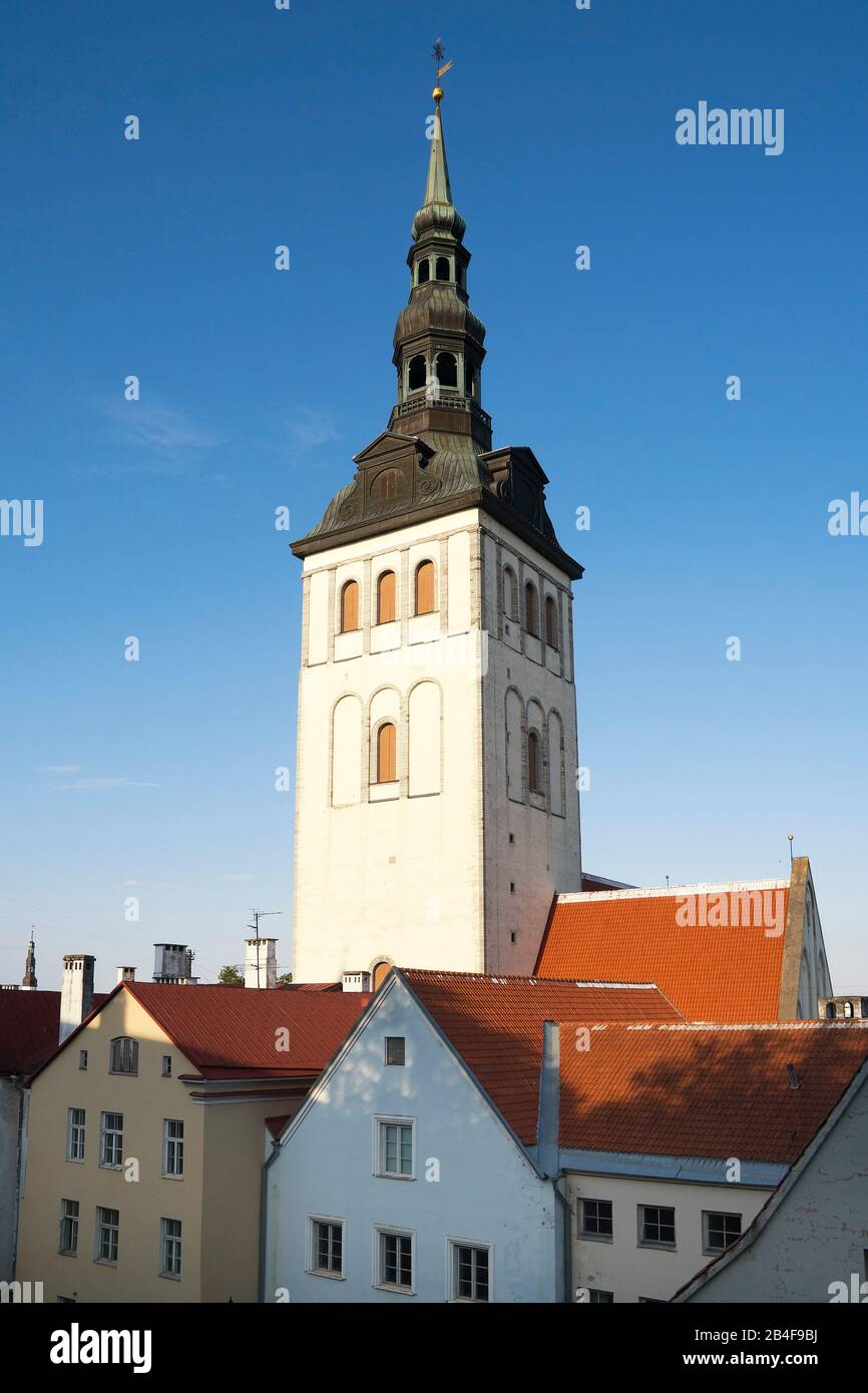 Estland, Tallinn, Niguliste Kirik, Nikolaikirche Im Abendlicht Foto Stock