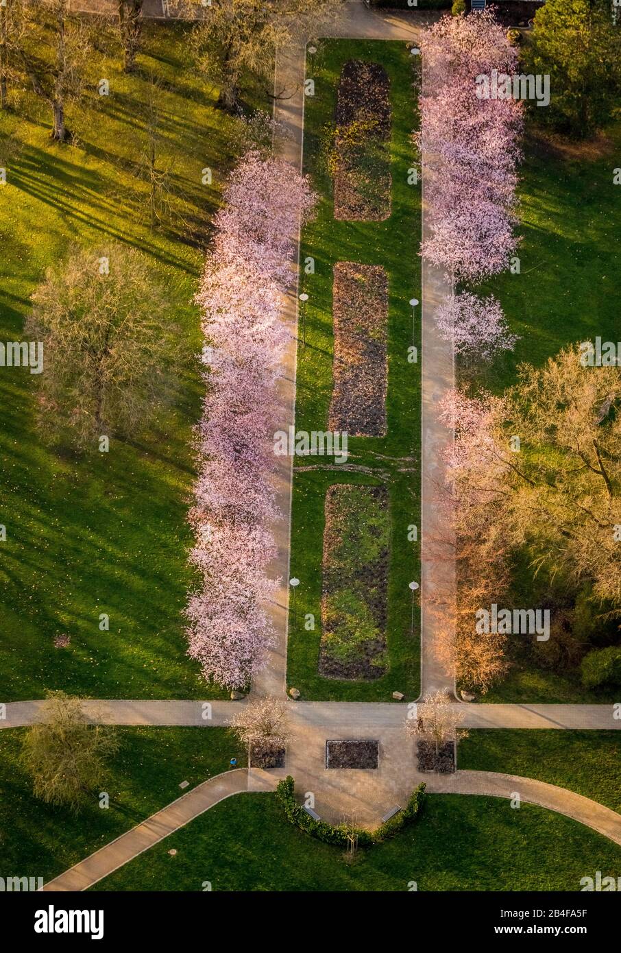 Veduta aerea, viale dei fiori nell'Herner Stadtgarten, alberi da birra, Parkhotel Herne, Beete, Herne, Ruhrgebiet, Renania Settentrionale-Vestfalia, Germania Foto Stock