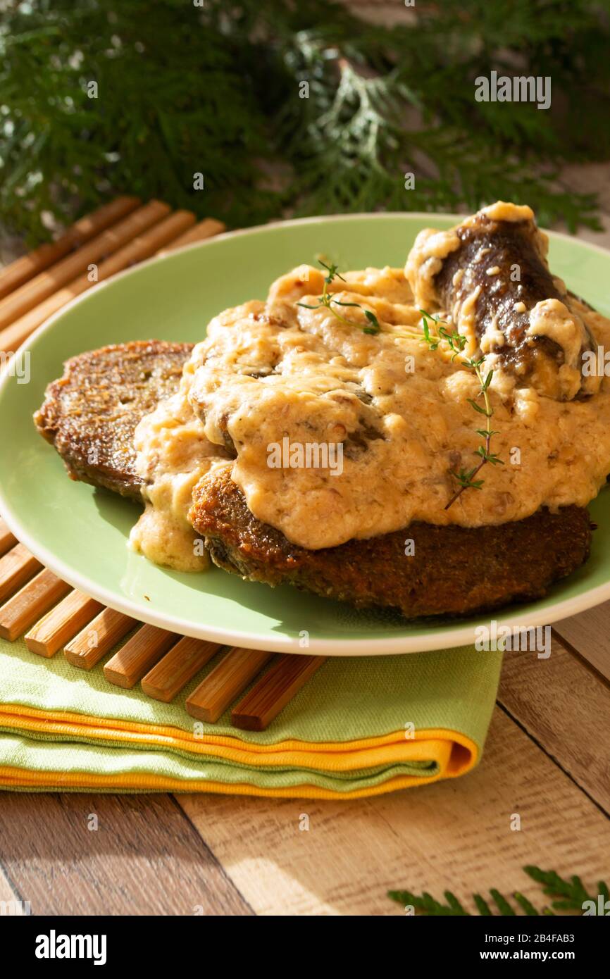 Il piatto nazionale della Bielorussia è spesso sugo di carne, funghi, mochanka vegetale guarnita con frittelle di patate o draniki, immagine verticale Foto Stock