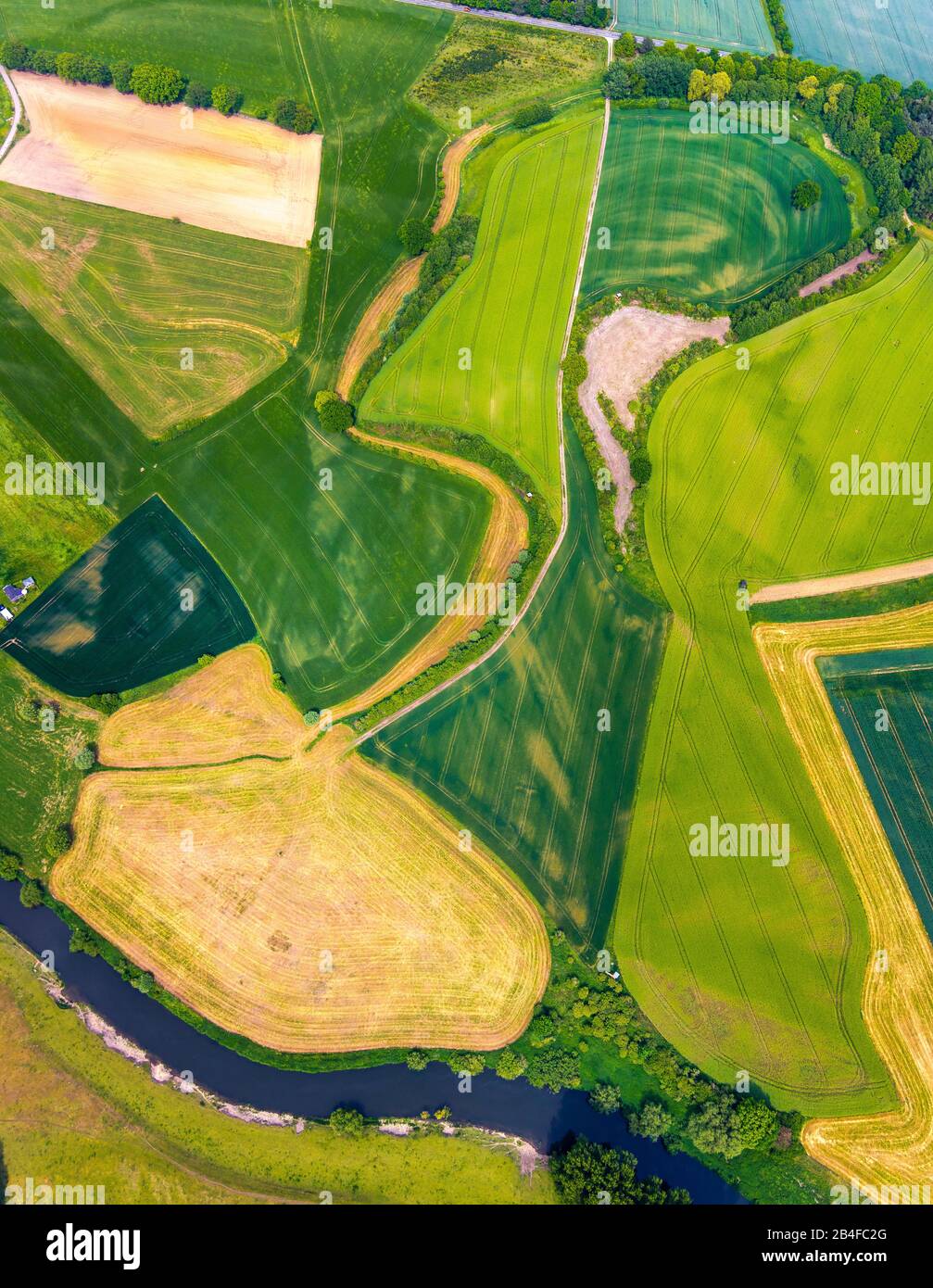 Veduta aerea del campo "Gesichtsfeld", Ordine sotto forma di volto, su Westruper Strasse a Haltern am See nel Parco Naturale Hohe Mark-Westmünsterland nello stato della Renania Settentrionale-Vestfalia, Germania Foto Stock