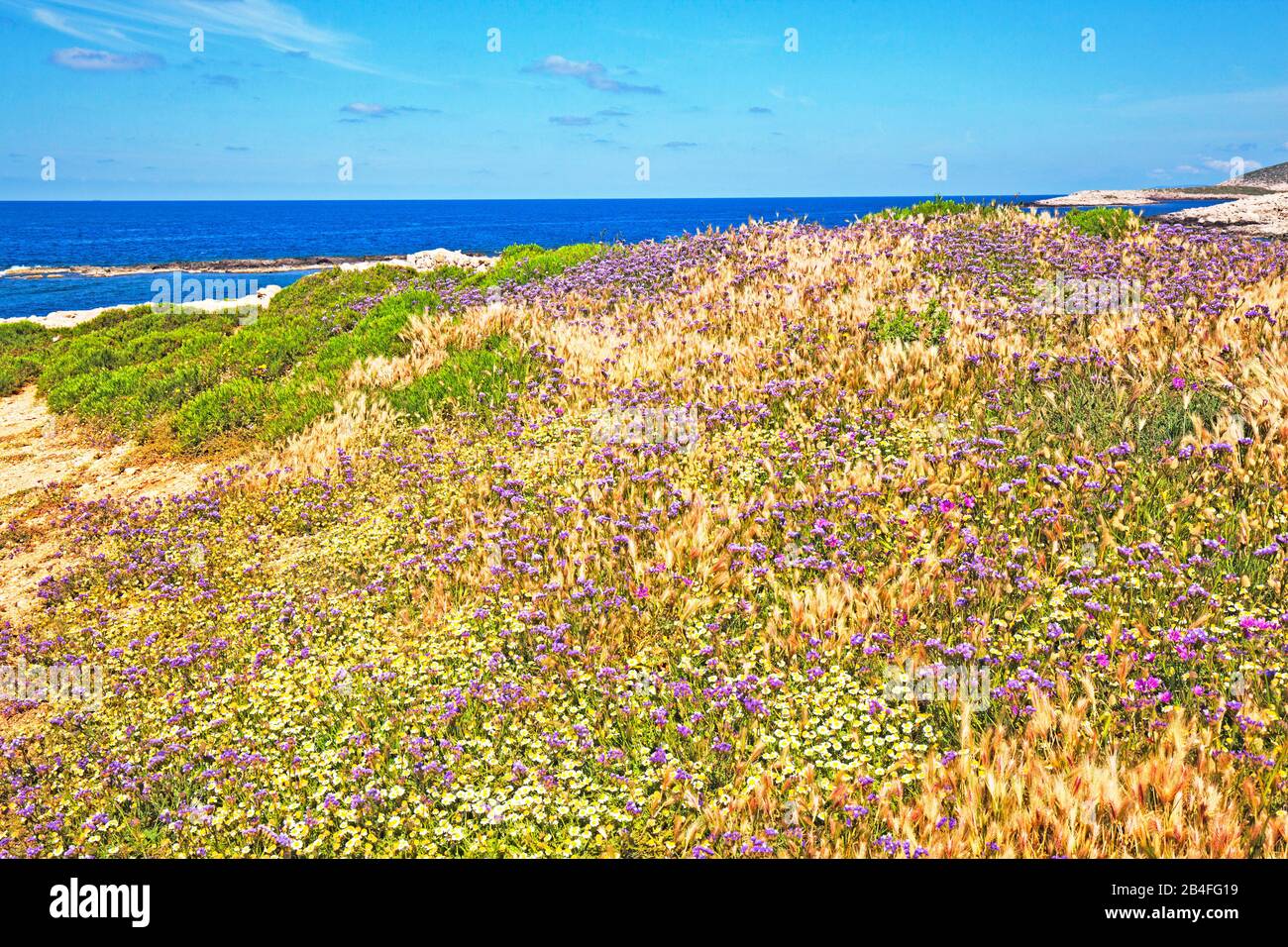 Spiaggia lilla copre le dune di Methóni, penisola Peloponneso, Grecia Foto Stock