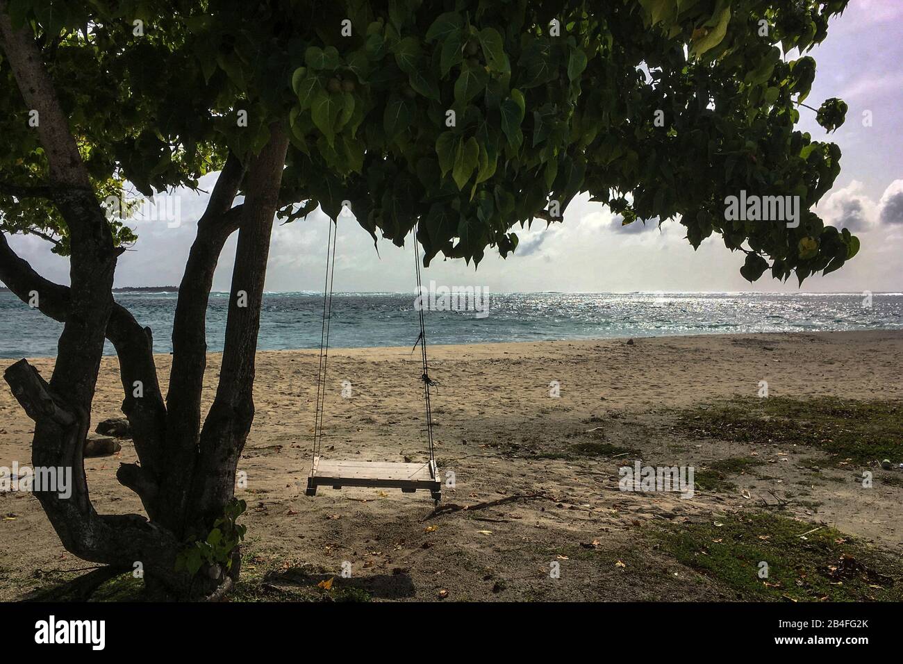 Albero Di Swing, Maafushi, Maldive, Asia Foto Stock