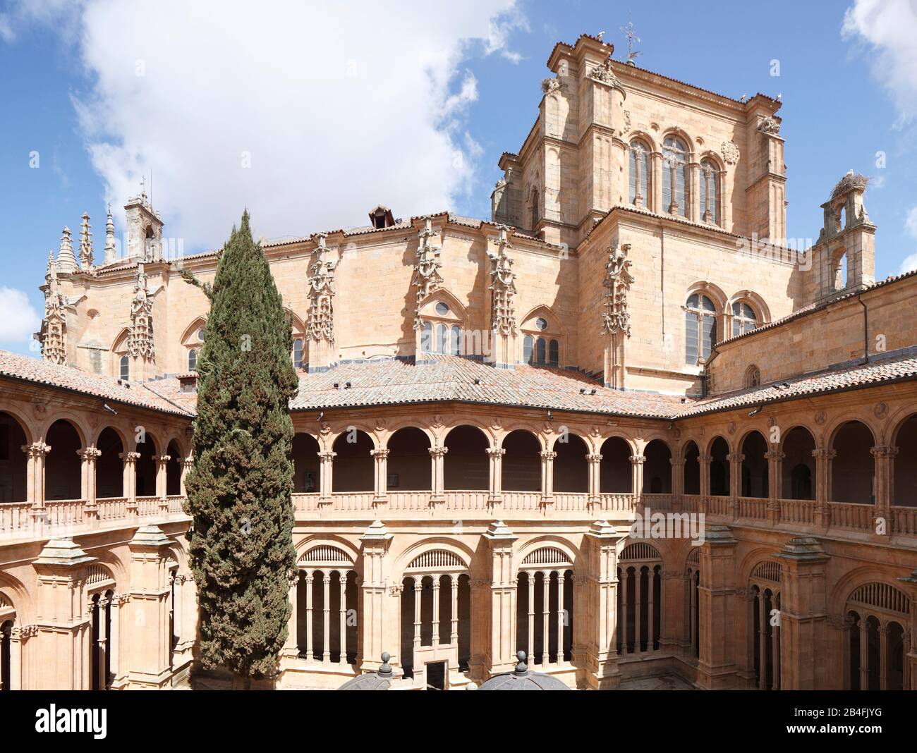 Cortile, chiesa e convento di San Esteban, Convento iglesia de San Estéban, Salamanca, Castilla y León, Spagna, Europa Foto Stock