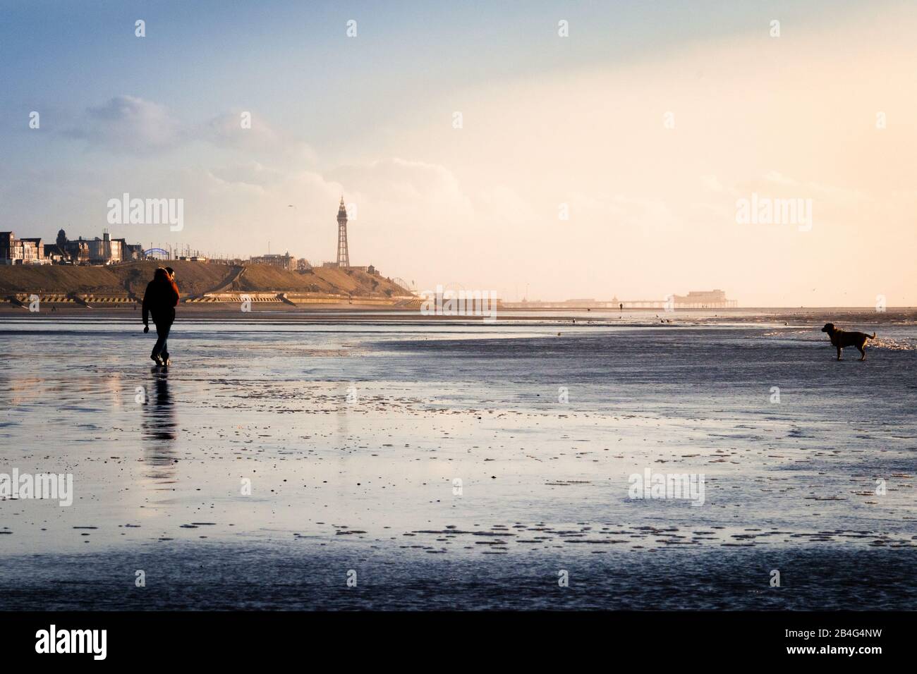 Un solone camminatore su una spiaggia vuota vicino a Blackpool UK, a piedi il suo cane, distanza sociale Foto Stock