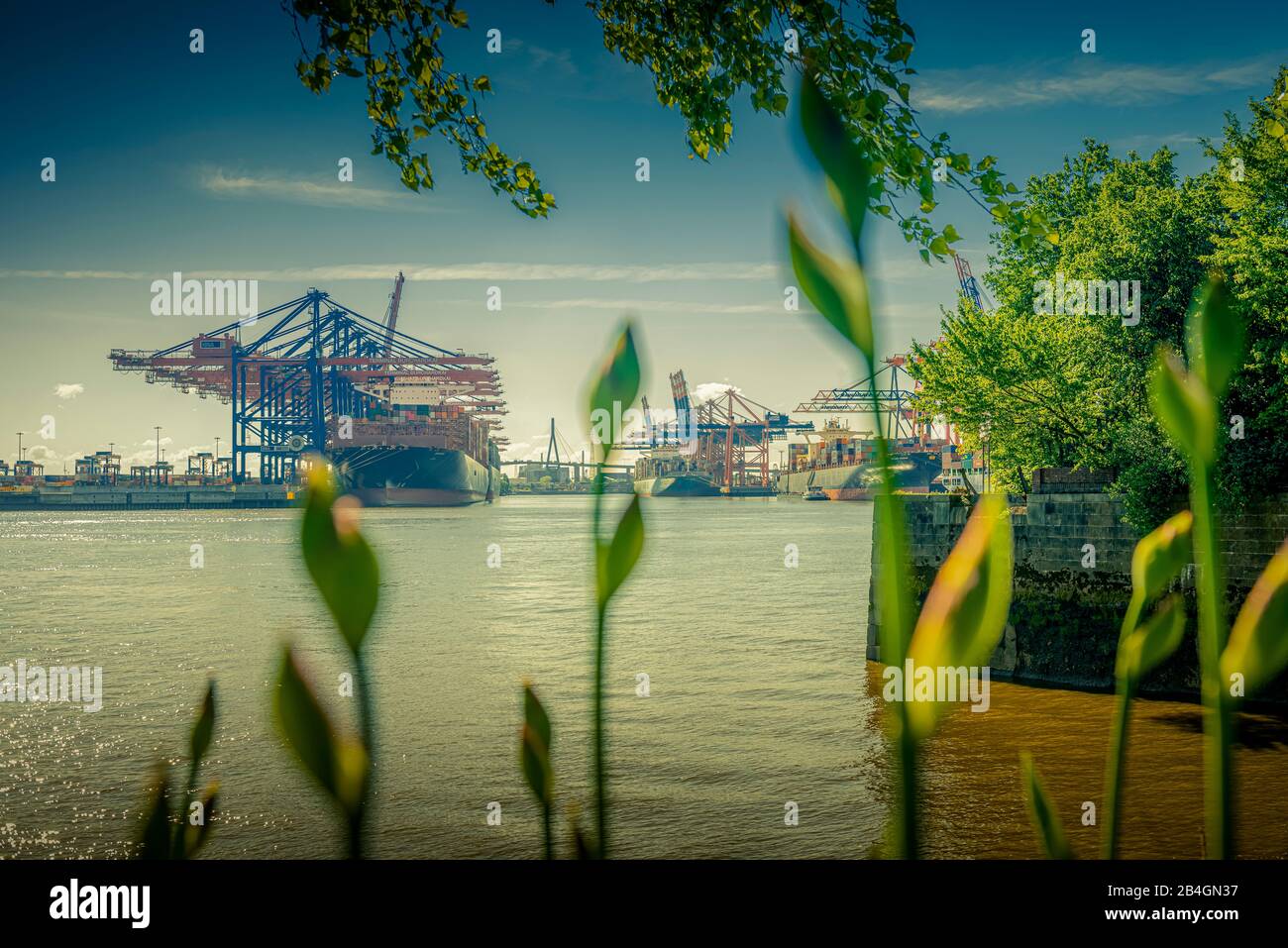 Germania, Amburgo, Elbe, porto, porto di Waltershofer, carico container, Köhlbrandbrücke, nave container Foto Stock