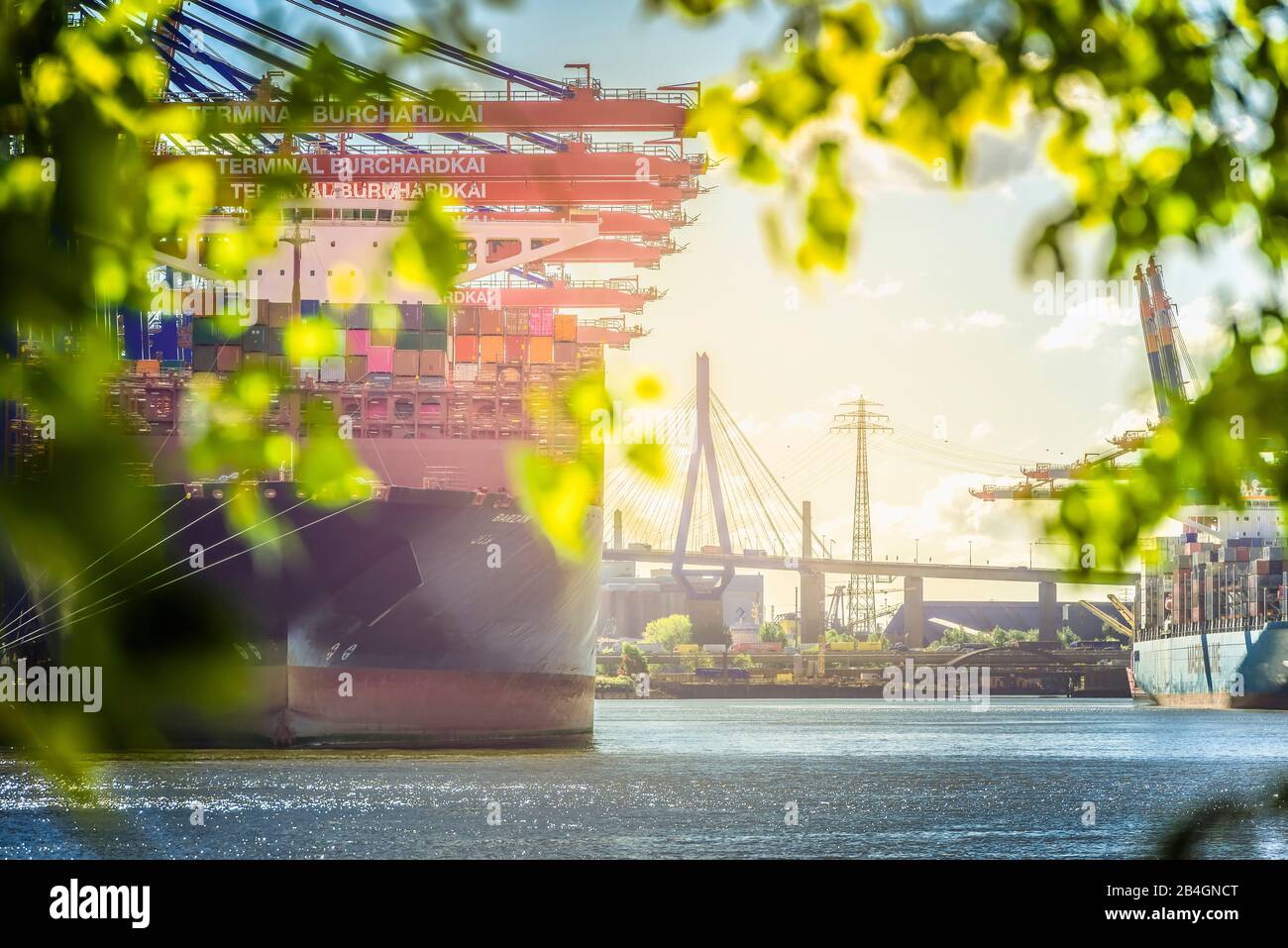 Germania, Amburgo, Elbe, porto, porto di Waltershofer, carico container, Köhlbrandbrücke, nave container Foto Stock