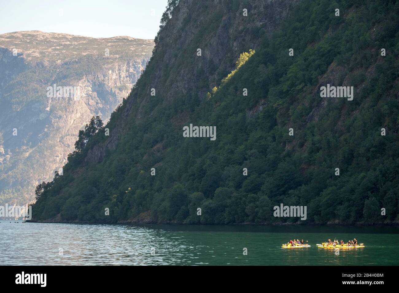 Turisti in kayak gialli, fiordo, Nærøyfjorden, pareti rocciose con foresta, Styvi, Sogn og Fjordane, Norvegia, Scandinavia, Europa Foto Stock