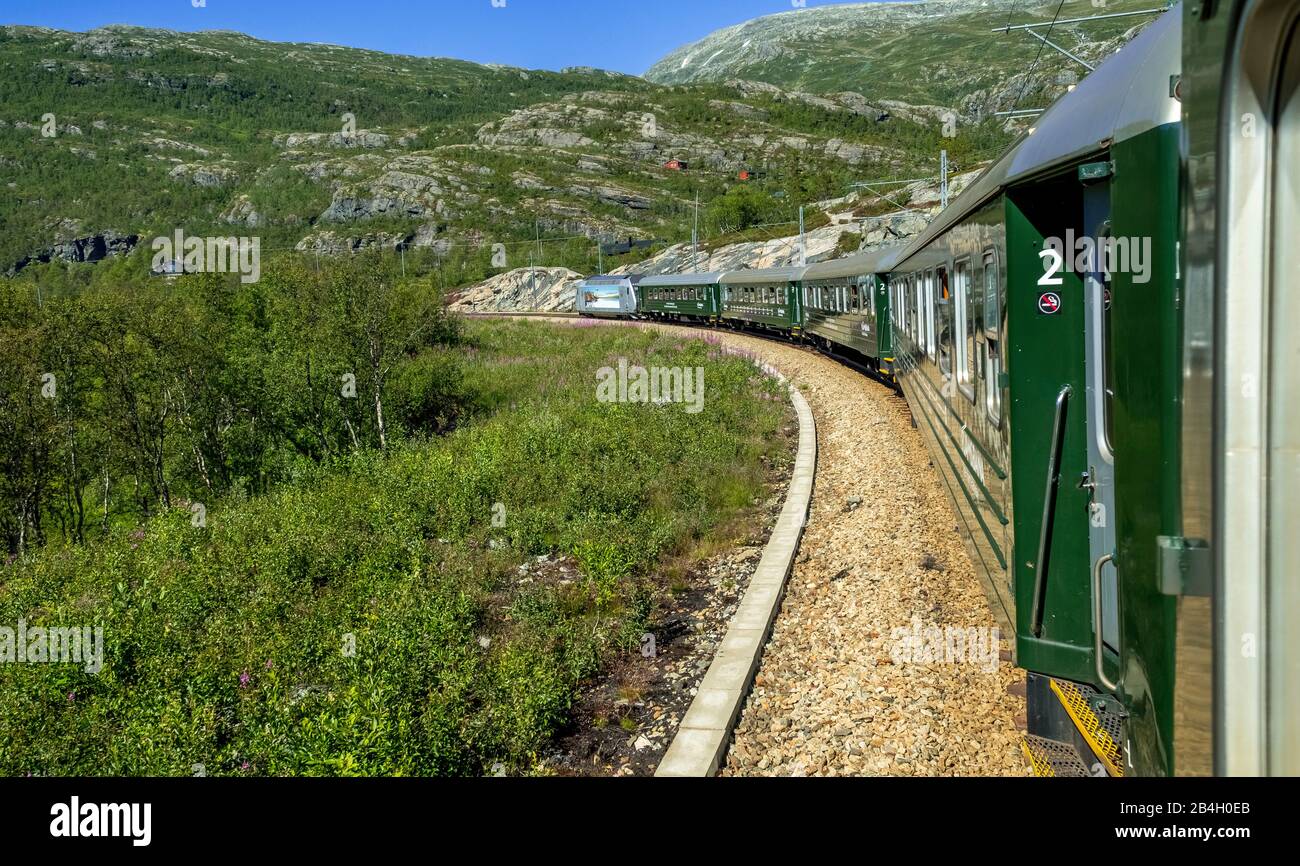 Flamsbahn in montagna, vicino a Fureberget, alberi, cielo, Flåm, Sogn og Fjordane, Norvegia, Scandinavia, Europa Foto Stock