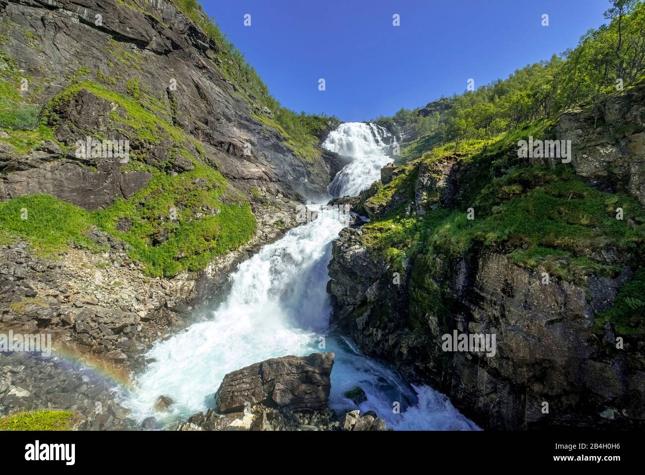 Cascata di Kjosfossen, cascata vicino a Fureberget, pareti rocciose, alberi, cielo, Flåm, Sogn og Fjordane, Norvegia, Scandinavia, Europa Foto Stock