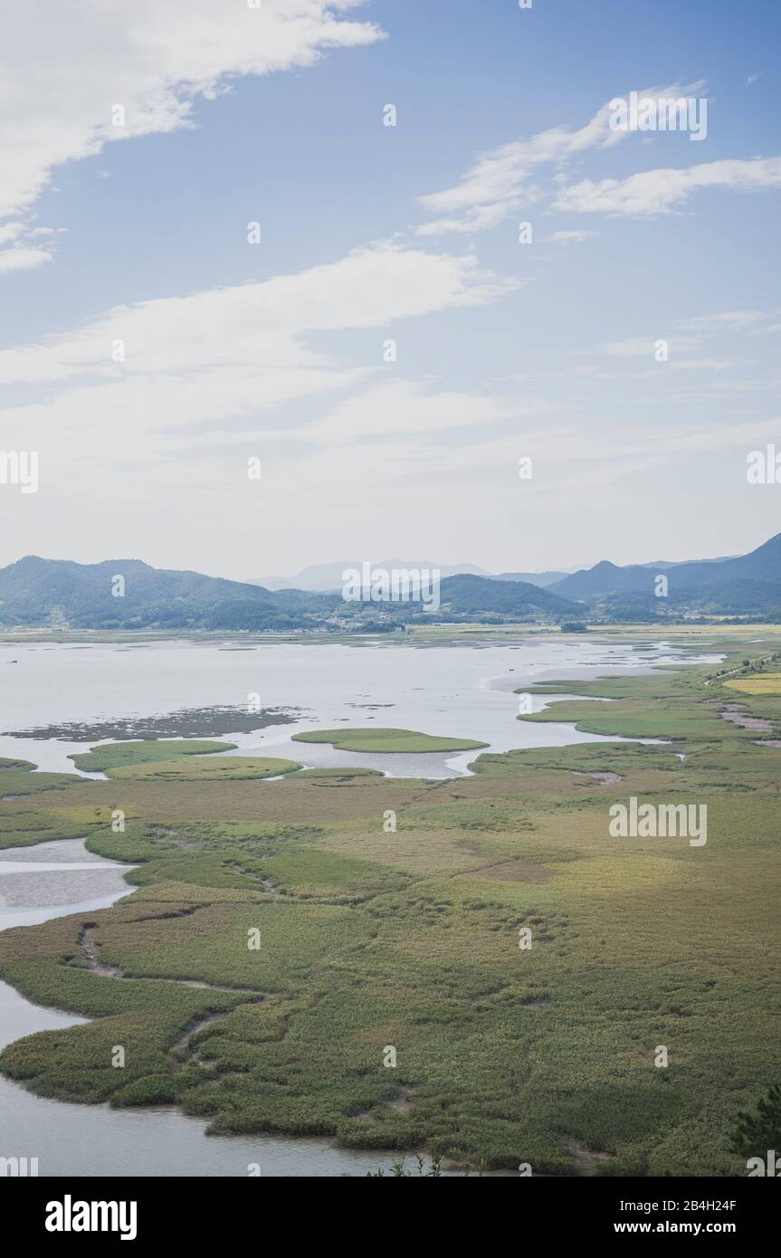 Palude, zona umida, mare, costa, Suncheon, Corea Foto Stock