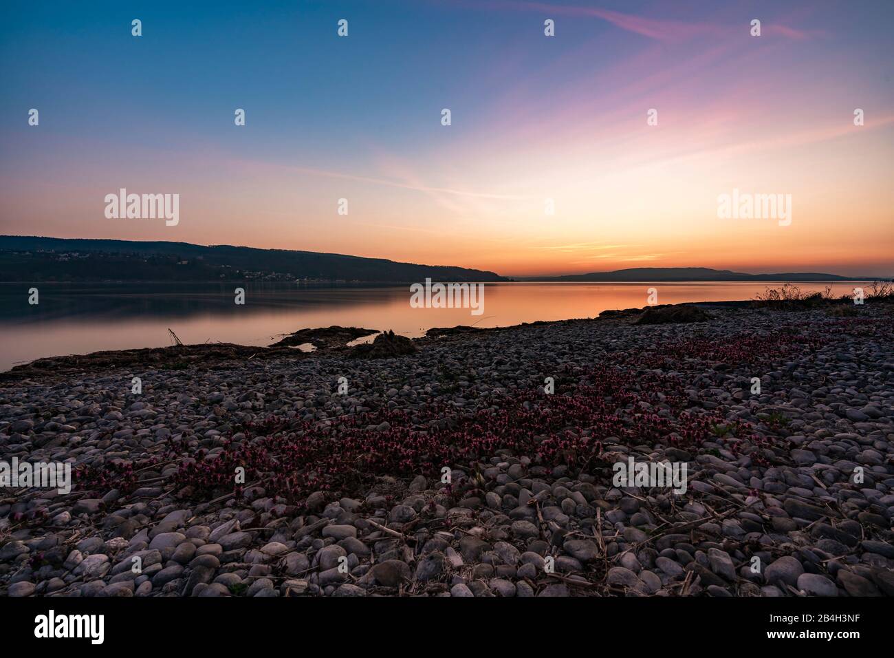 Tramonto sulla spiaggia, Reichenau, Lago di Costanza, Baden-Wuerttemberg, Germania, Europa Foto Stock