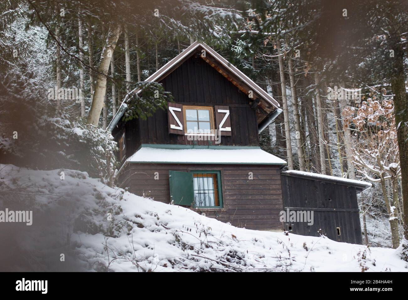 Cottage nella foresta Foto Stock
