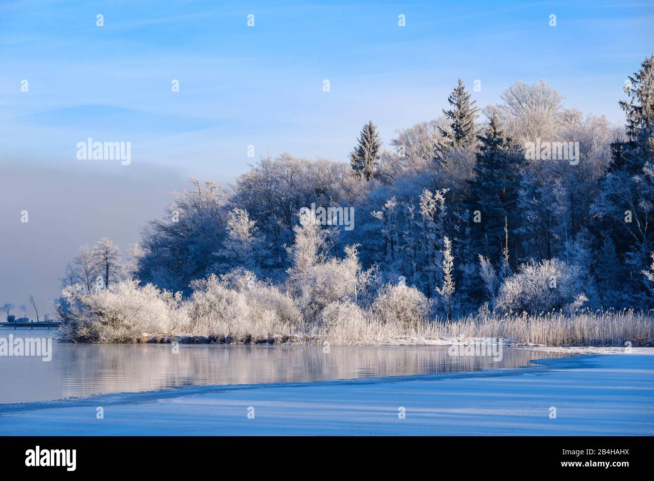 Lago Starnberg Vicino Sankt Heinrich, Vicino Muensing, Fünfseenland, Alta Baviera, Baviera, Germania Foto Stock