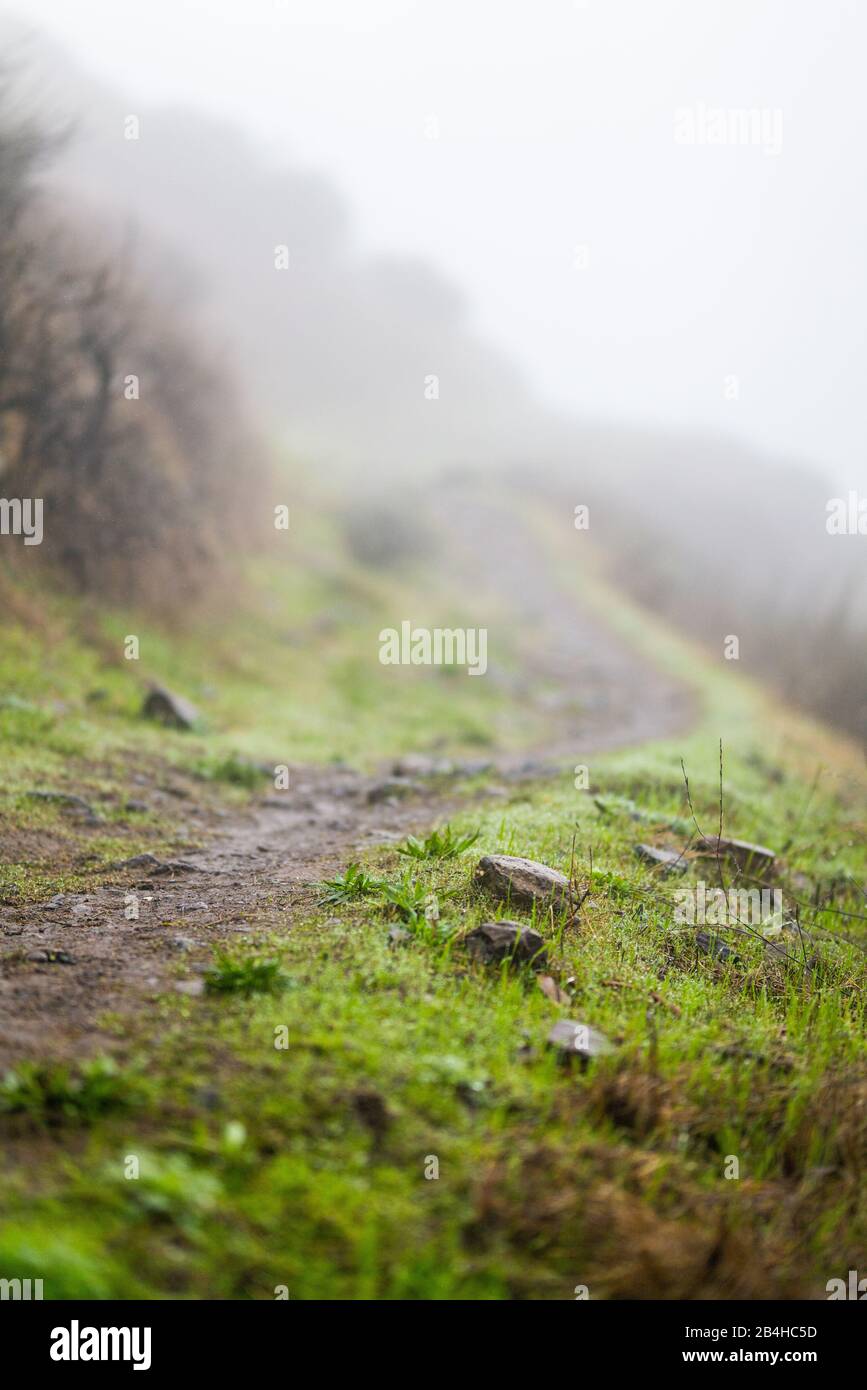 Il sole esce da una nebbia intensa illuminando rocce e erba attraverso il sentiero Foto Stock