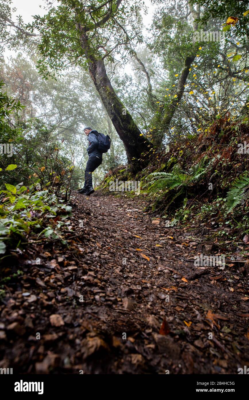 Uomo che guarda indietro mentre si fa un'escursione in collina sul sentiero della California del Nord Foto Stock
