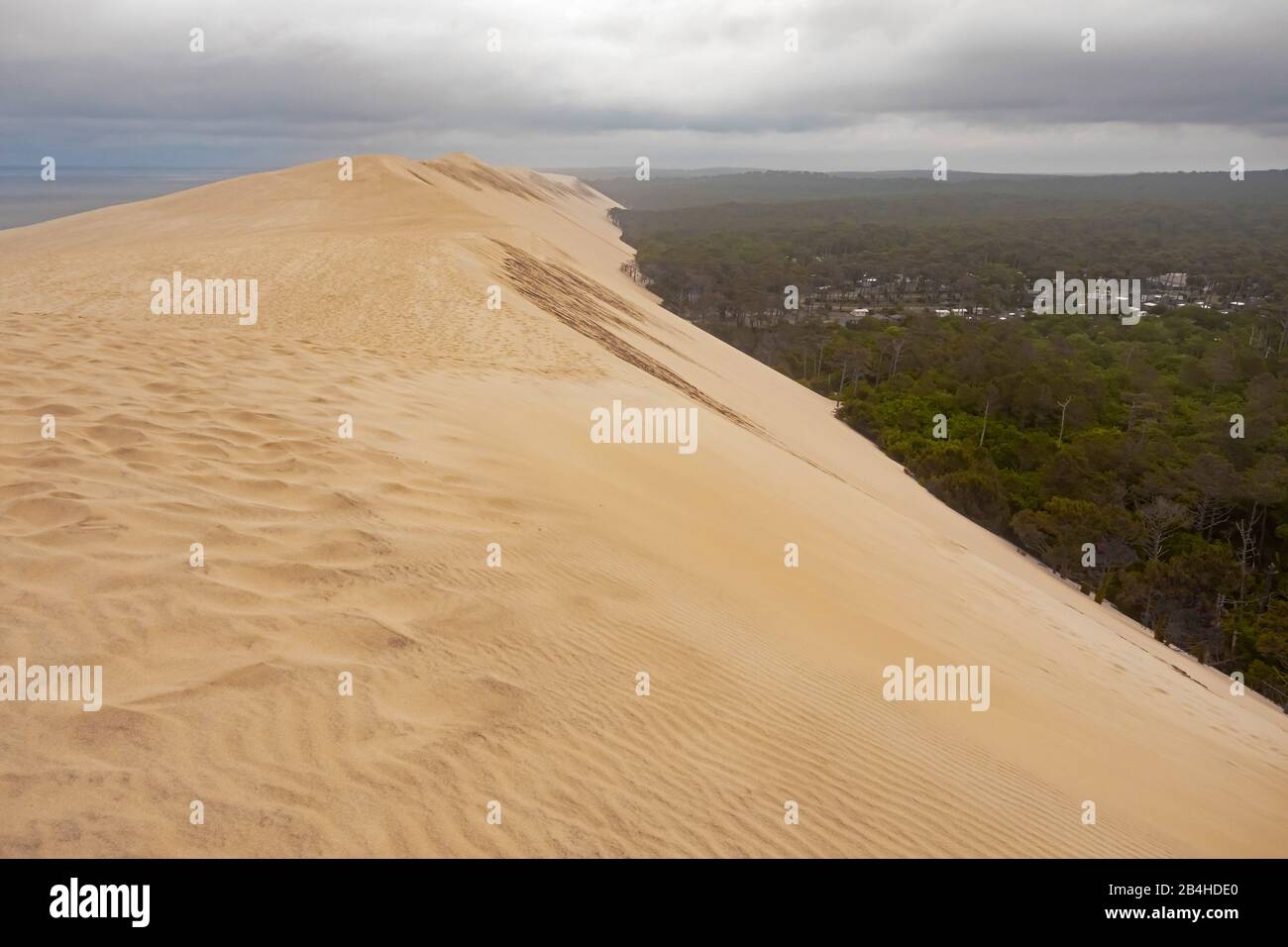 Dune di Pilat sulla costa atlantica, la più alta duna di sabbia in Europa, Francia, Bordeaux, la teste-de-Buch, Arcachon Foto Stock