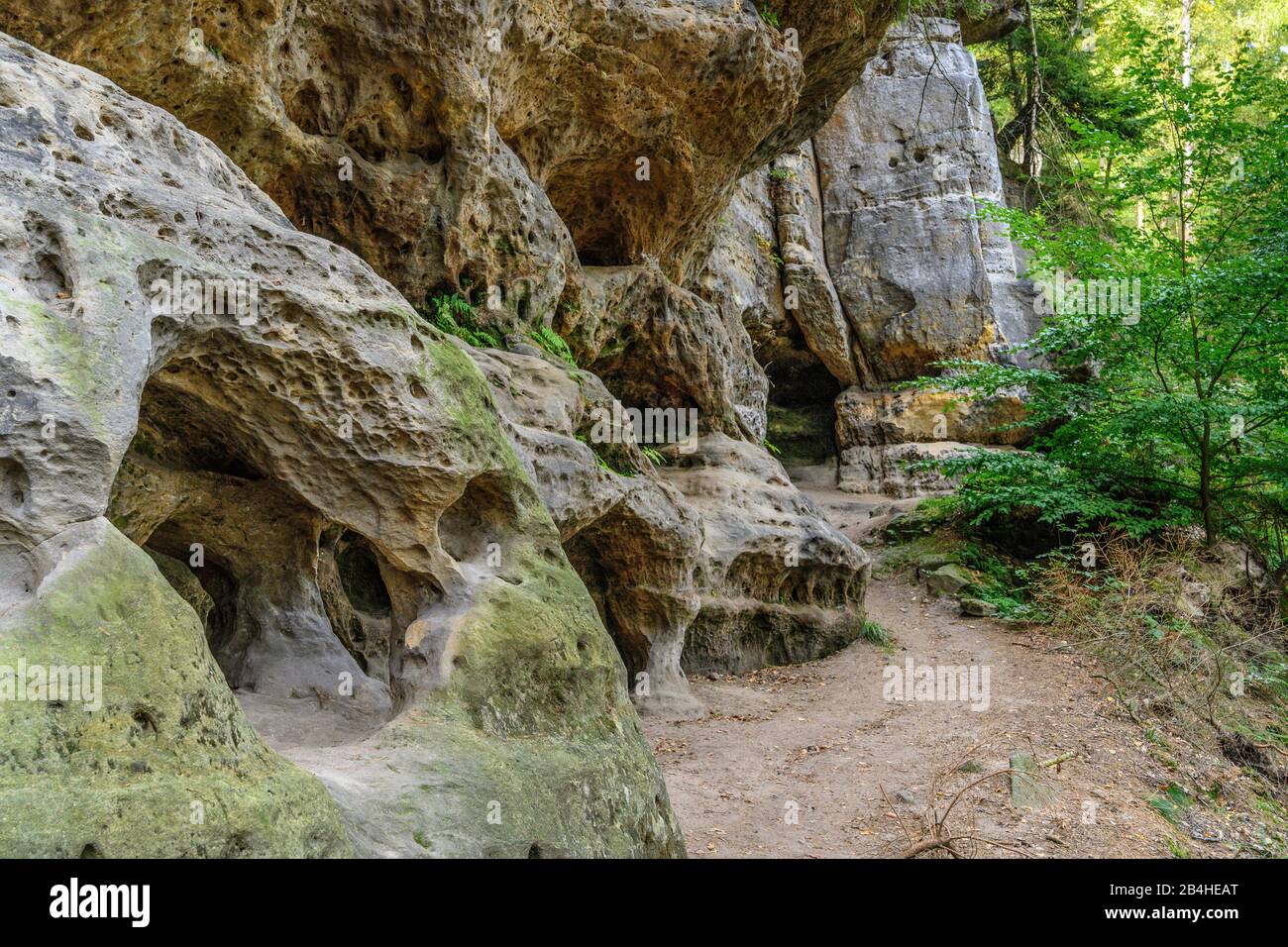 Deutschland, Sachsen, Sächsische Schweiz, Königstein, Tafelberg Quirl, Malerweg, Felsformationen Foto Stock