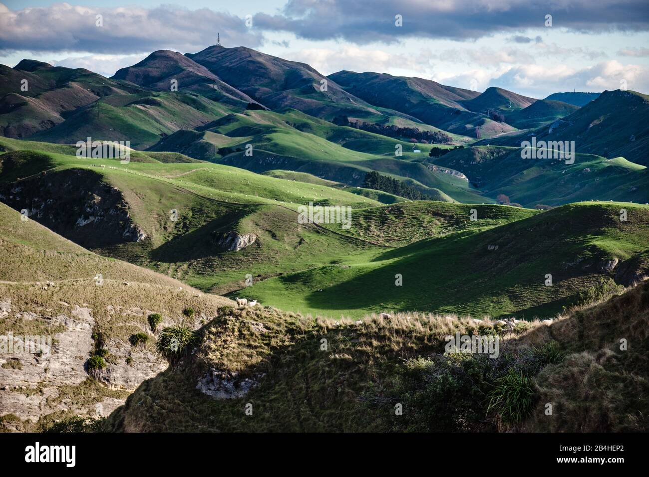 Bellissimo paesaggio di verdi montagne e pecore a Hawke's Bay, Nuova Zelanda Foto Stock