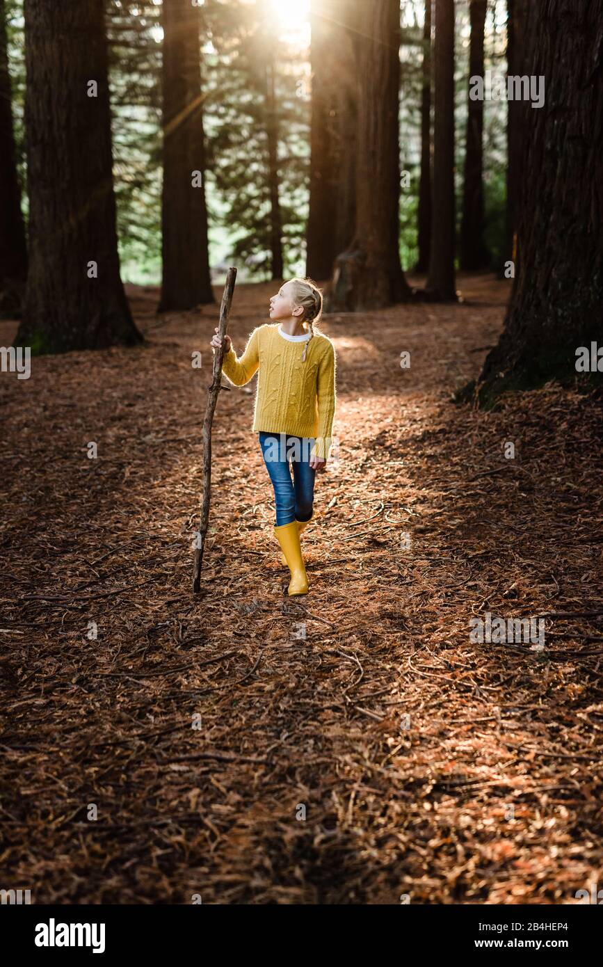 Ragazza predetta escursioni nella foresta con bella luce Foto Stock