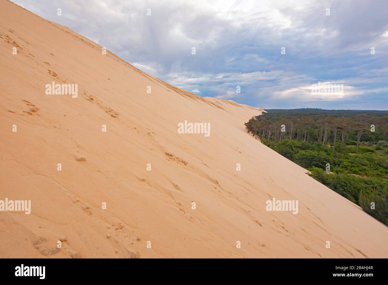 Dune di Pilat sulla costa atlantica, la più alta duna di sabbia in Europa, Francia, Bordeaux, la teste-de-Buch, Arcachon Foto Stock