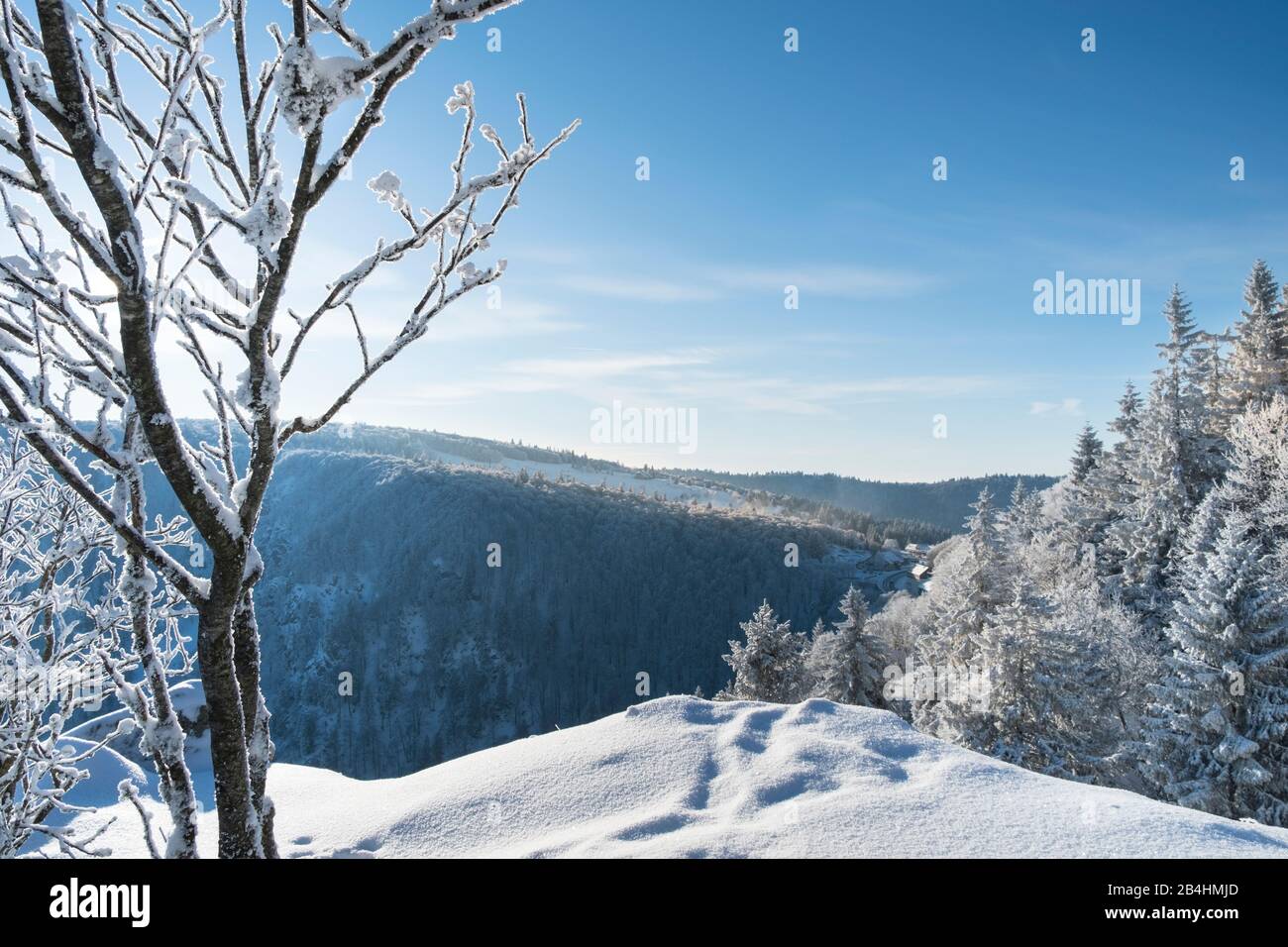 Büsche und Bäume in winterlicher Landschaft mit Blick ins tal vor sonnigem, blauem Himmel in den Vogesen, Frankreich Foto Stock