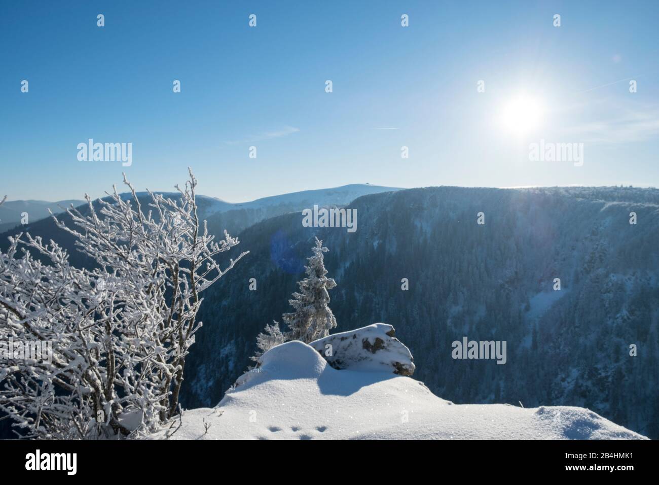 Schneebedeckte Büsche und Felsen in winterlicher Landschaft mit Blick ins tal vor sonnigem, blauem Himmel in den Vogesen, Frankreich Foto Stock