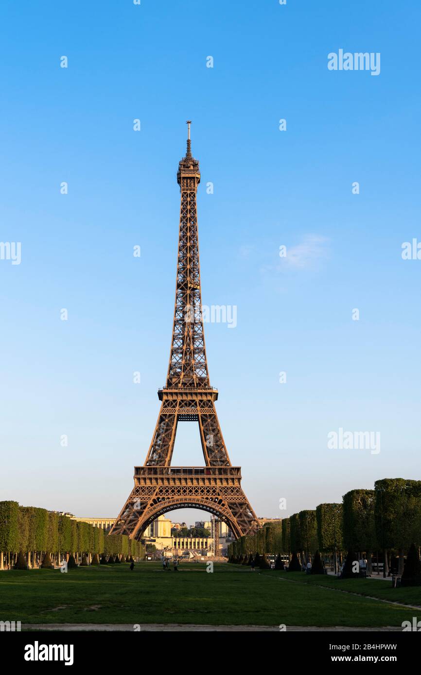 Rasenflächen im Champ de Mars vor dem Eiffel am frühen Morgen, Parigi, Frankreich, Europa Foto Stock