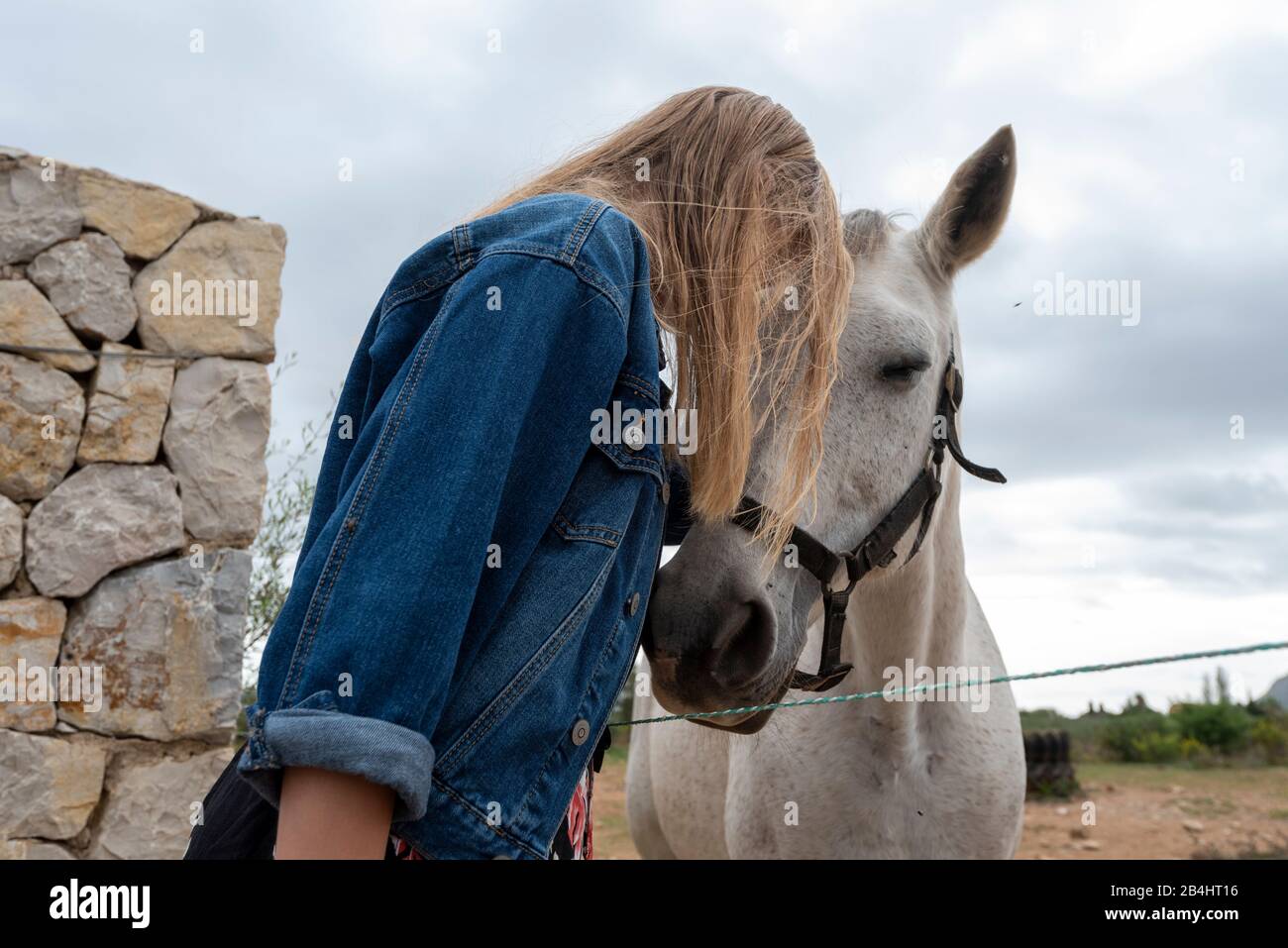 Cavallo e ragazza con capelli biondi scuri, intimo gesto di fiducia. Foto Stock