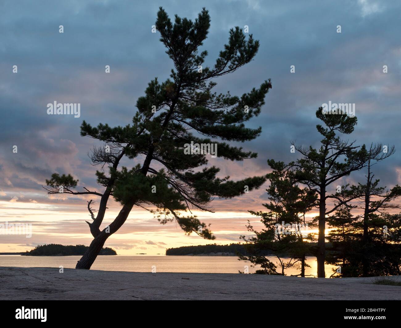 Parry Sound, Georgian Bay, Ontario, Kanada, Killbear Provincial Park, Landscape Foto Stock