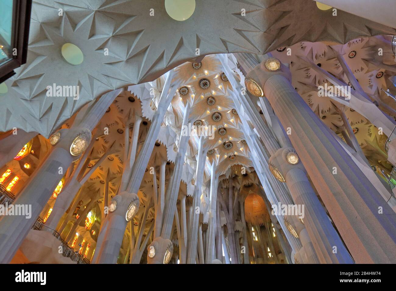 Soffitto della chiesa all'interno della cattedrale della Sagrada Familia di Antoni Gaudi a Barcellona, Catalogna, Spagna Foto Stock