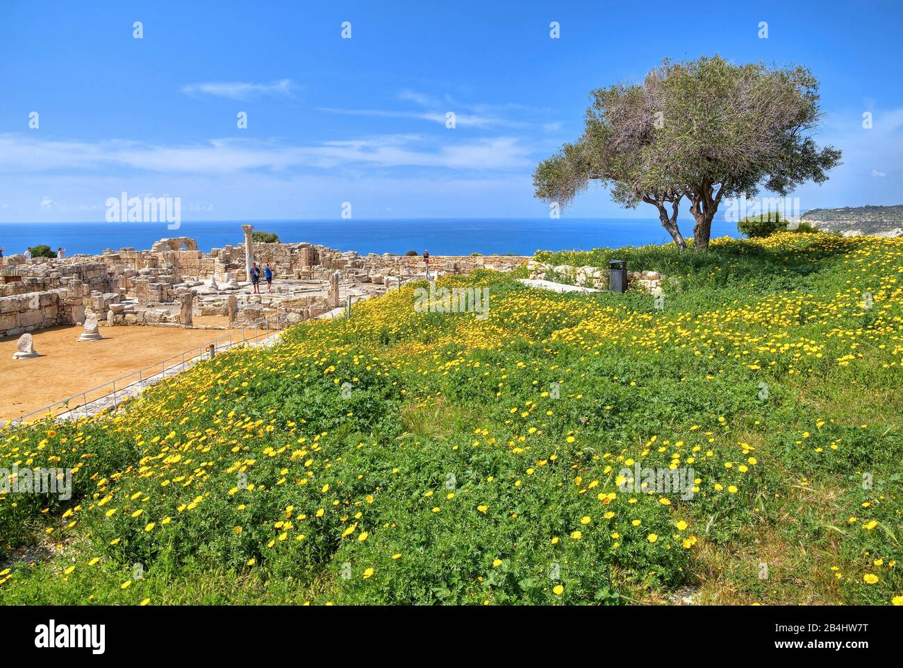 Prato primaverile presso l'Agora sopra la scogliera nel sito archeologico antico Kourion a Limassol, costa mediterranea, Cipro Foto Stock