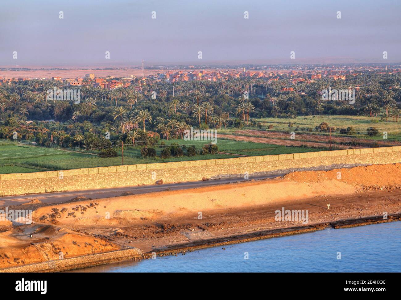 Riva occidentale con campi e palme da dattero al canale di Suez (canale di Suez), Egitto Foto Stock
