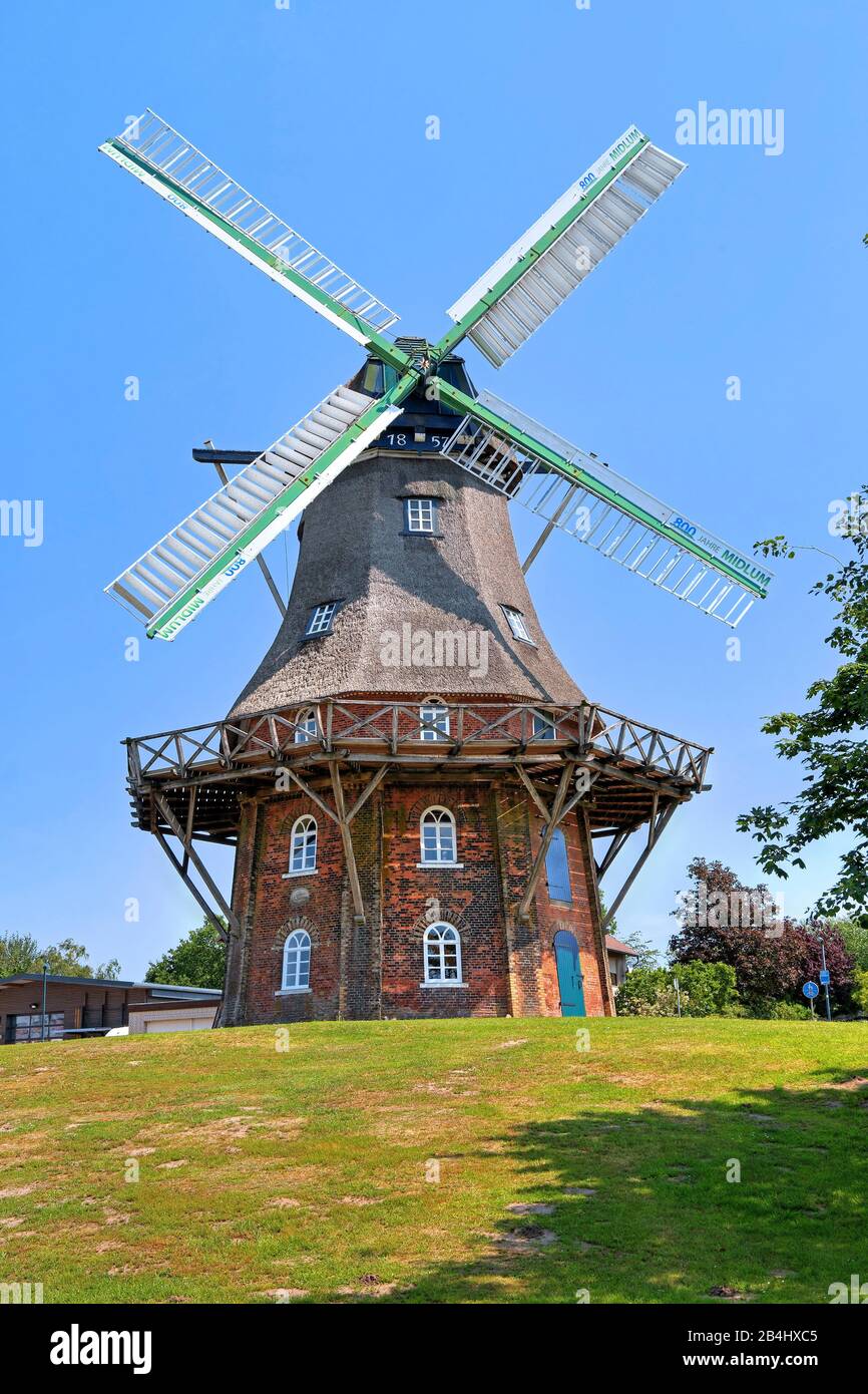 Mulino Olandese Midlum, Land Wursten, Mare Del Nord, Costa Del Mare Del Nord, Bassa Sassonia, Germania Foto Stock