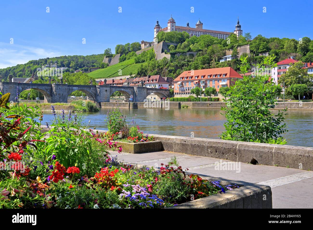 Confina con i fiori sulla passeggiata principale con il Mainbrücke Alter principale e la fortezza Marienberg, Würzburg, Maintal, Bassa Franconia, Franconia, Baviera, Germania Foto Stock