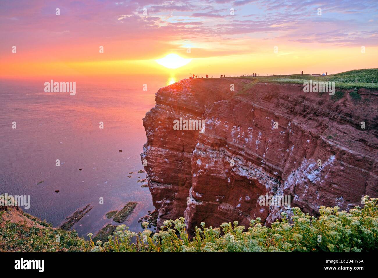 Scogliera Nord-Occidentale Al Tramonto, Helgoland, Helgoland Bay, Bight Tedesco, North Sea Island, North Sea, Schleswig-Holstein, Germania Foto Stock