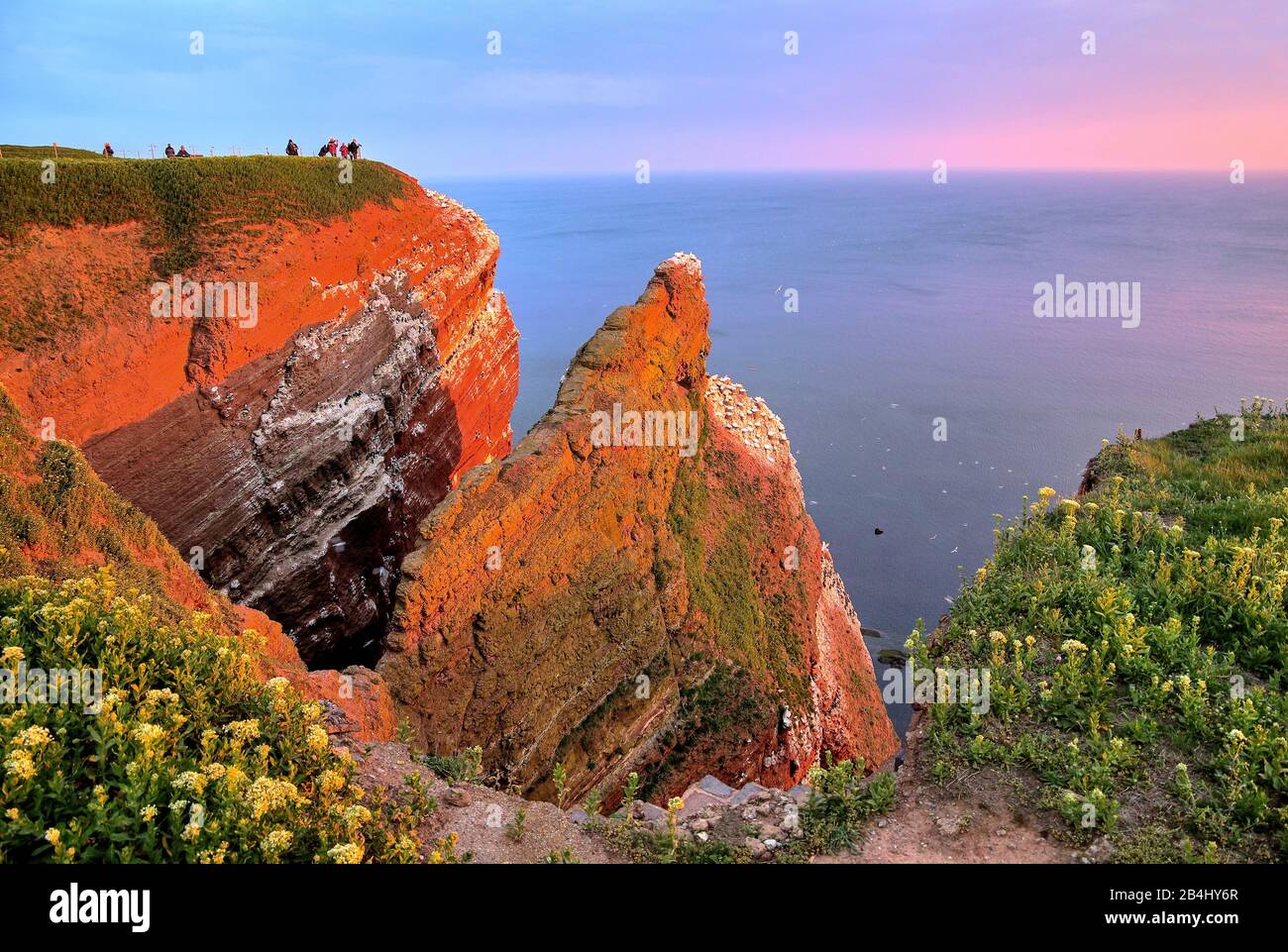 Scogliera nord-occidentale con scogliera, Helgoland, baia di Helgoland, baia tedesca, isola del Mare del Nord, Mare del Nord, Schleswig-Holstein, Germania Foto Stock