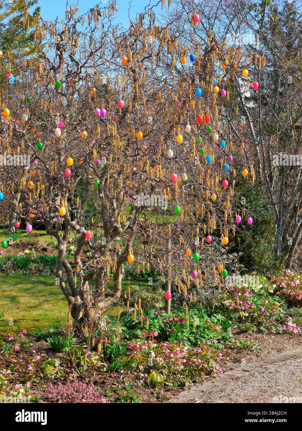 Germania, Baviera, Germering, giardino, albero di pasqua, primavera Foto Stock
