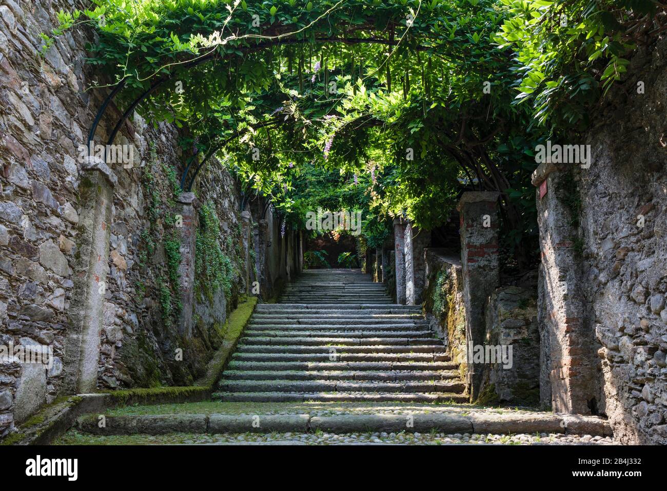 Europa, Italien, Piemont, Verbania. Die sog. Totenstiege im Landschaftsgarten der Isola Madre. Foto Stock