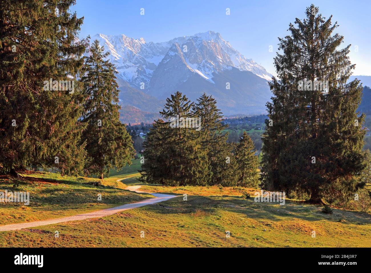 I filosofi camminano attraverso la foresta di conifere con il gruppo Zugspitze 2962m nelle montagne Wetterstein vicino a Farchant, Loisachtal, Werdenfelser Land, Zugspitzland, alta Baviera, Baviera, Germania Foto Stock