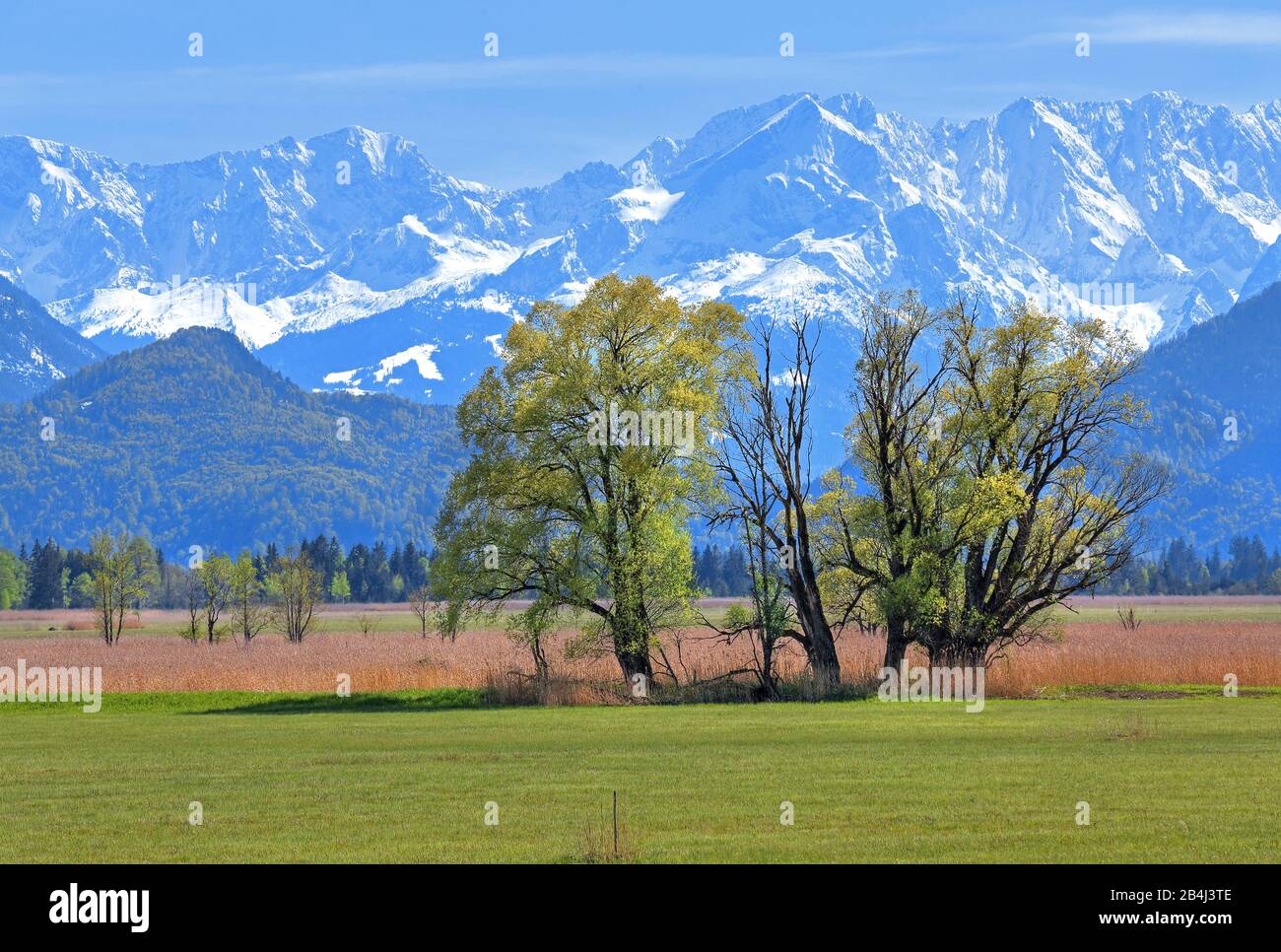 Paesaggio a Murnauer Moos contro le montagne Wetterstein con Alpspitze 2628m a Murnau, Loisachtal, Blue Land, alta Baviera, Baviera, Germania Foto Stock