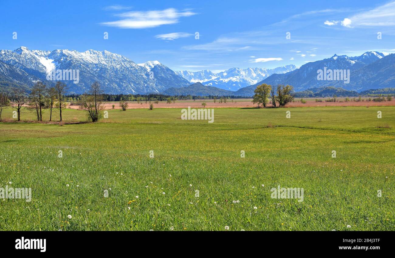Paesaggio nel Murnauer Moos contro Hohe Kisten 1922m nel gruppo Estergebirge Zugspitze 2962 nelle montagne Wetterstein e Ammergau Alpi vicino Murnau, Loisachtal, Blue Land, alta Baviera, Baviera, Germania Foto Stock