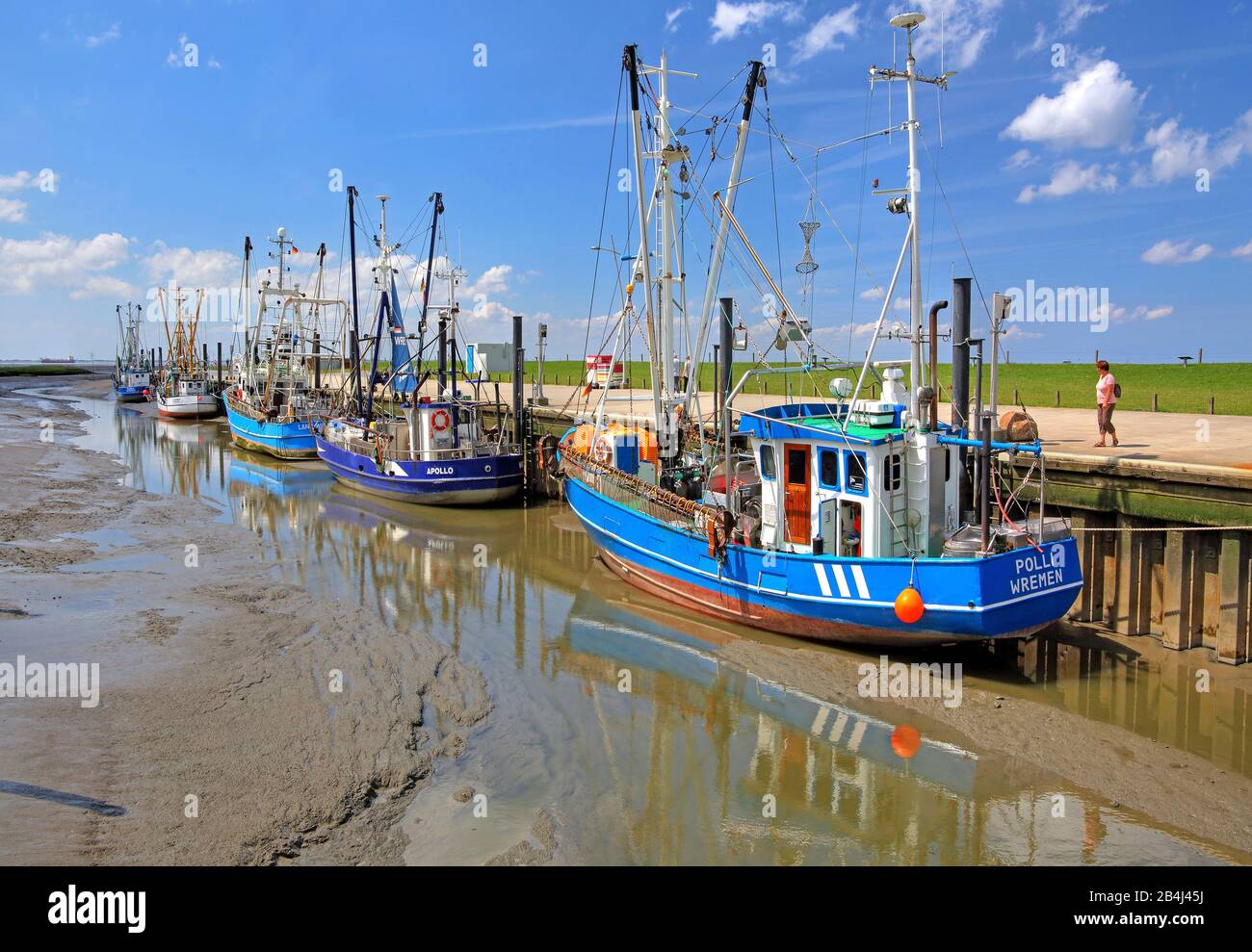 Sielhafen con tagliabaschi per gamberi con bassa marea, località del Mare del Nord Wremen, Land Wursten, Mare del Nord, Costa del Mare del Nord, Bassa Sassonia, Germania Foto Stock