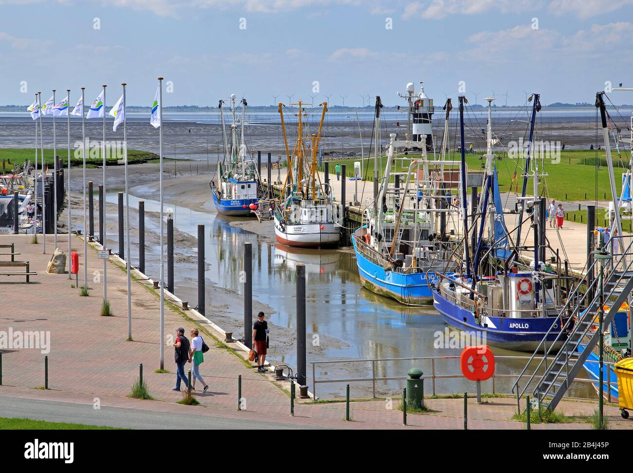Sielhafen con tagliabaschi per gamberi con bassa marea, località del Mare del Nord Wremen, Land Wursten, Mare del Nord, Costa del Mare del Nord, Bassa Sassonia, Germania Foto Stock