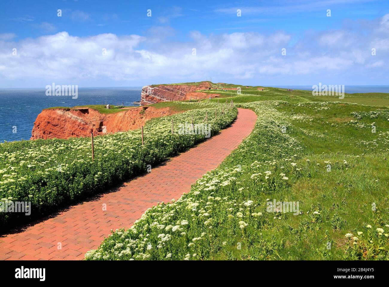 Viaggio di andata e ritorno sulla scogliera nord-ovest, Helgoland, Helgoland Bay, il Bight tedesco, l'isola del Mare del Nord, il Mare del Nord, lo Schleswig-Holstein, la Germania Foto Stock