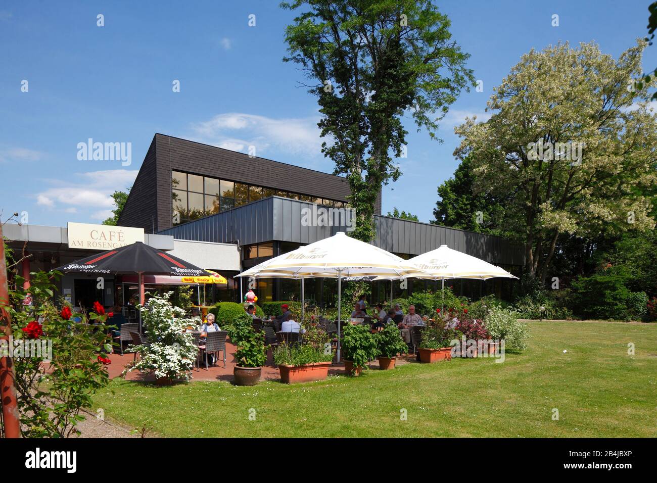 Cafe Am Rosengarten, Bad Zwischenahn, Bassa Sassonia, Germania, Europa Foto Stock