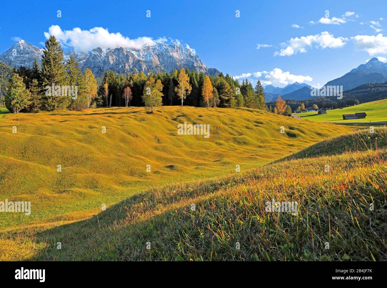 Paesaggio autunnale dei prati di gobba contro il Karwendelgebirge (2430m) a Mittenwald, Werdenfelser Land, alta Baviera, Baviera, Germania Foto Stock