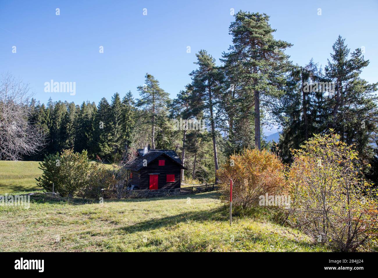Foresta, autunno, albero, Svizzera, rifugio, rosso, prato Foto Stock