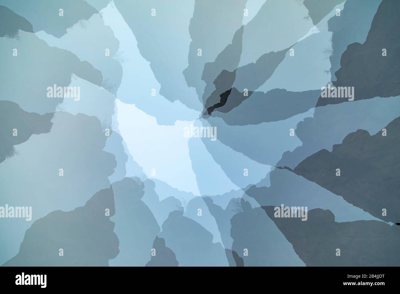 Foresta, Immagine Simbolica, Arte Della Natura, Composizione Foto Stock