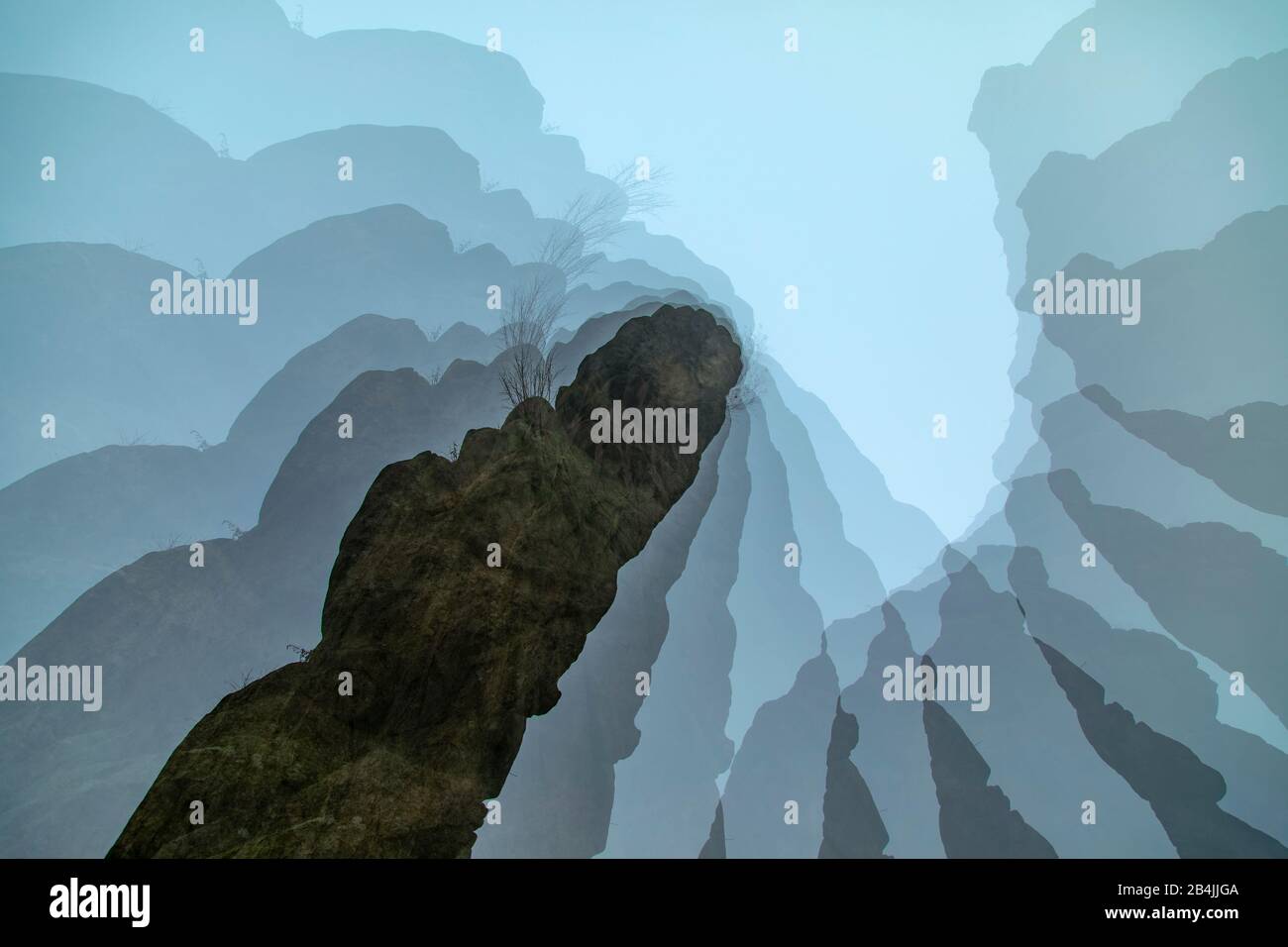 Foresta, Immagine Simbolica, Arte Della Natura, Composizione Foto Stock